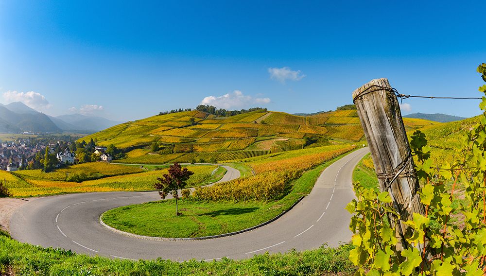 Route des vins Alsace